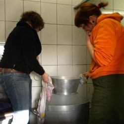 DSCN0921  Medium - Scouts en Gidsen Zaventem 